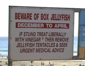 Tablica z ostrzeżeniem przed meduzami